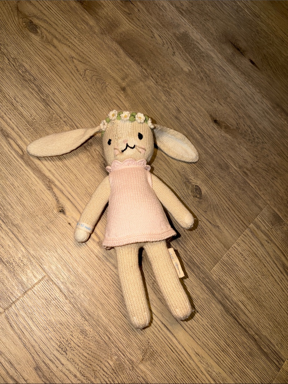 Hannah the bunny cuddle and kind